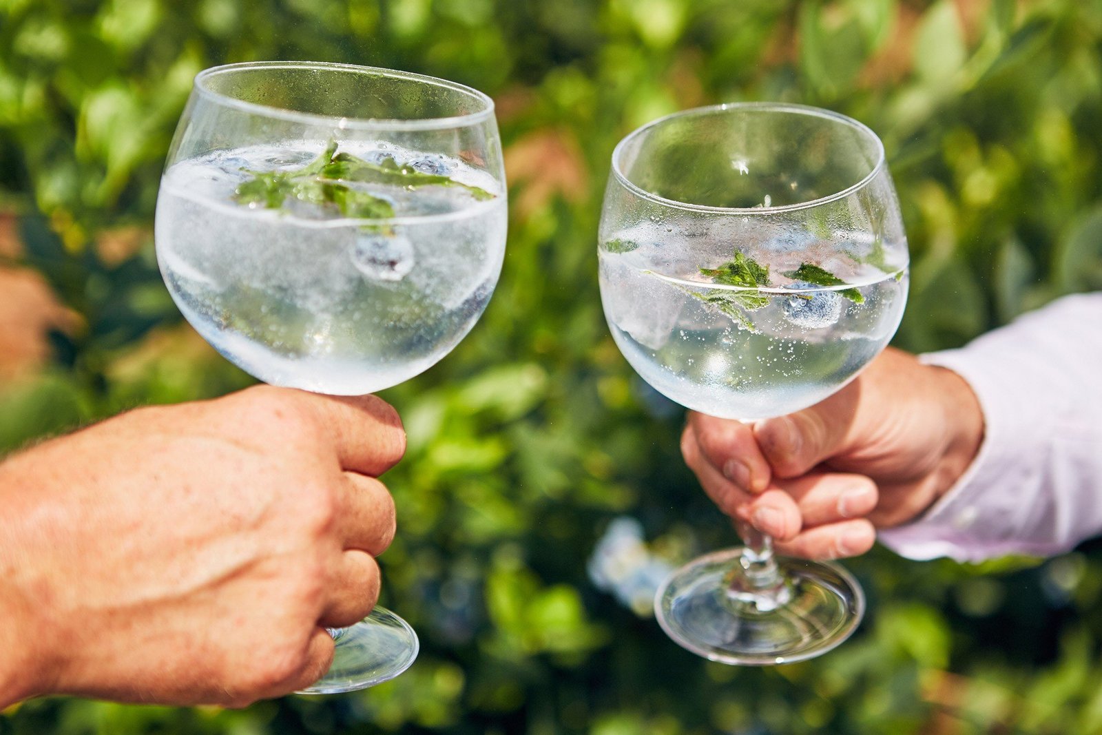 8 best gin glasses for G&T 2023